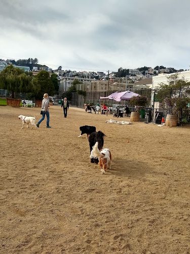 Eureka Valley Dog Play Area
