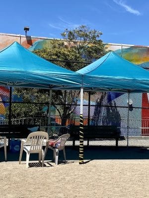 Eureka Valley Dog Play Area