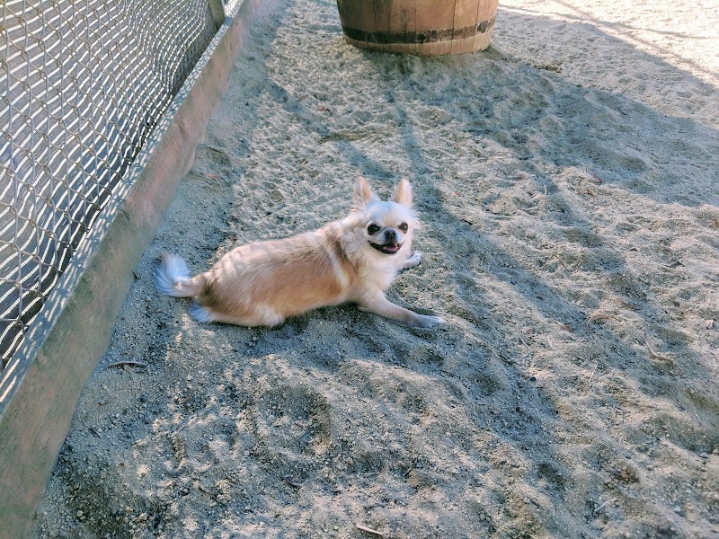 Eureka Valley Dog Play Area - San Francisco, CA