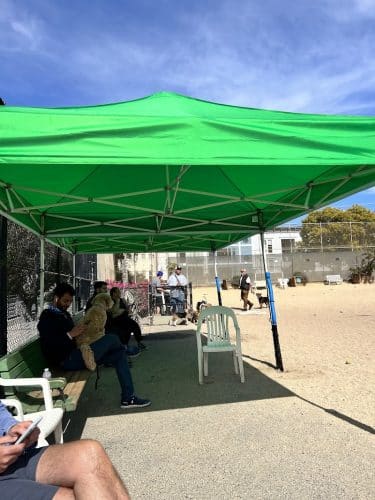 Eureka Valley Dog Play Area