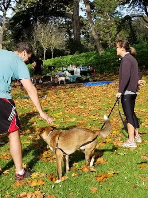 Golden Gate Park