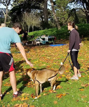 Golden Gate Park