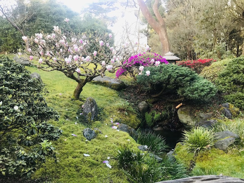 Golden Gate Park - San Francisco, CA