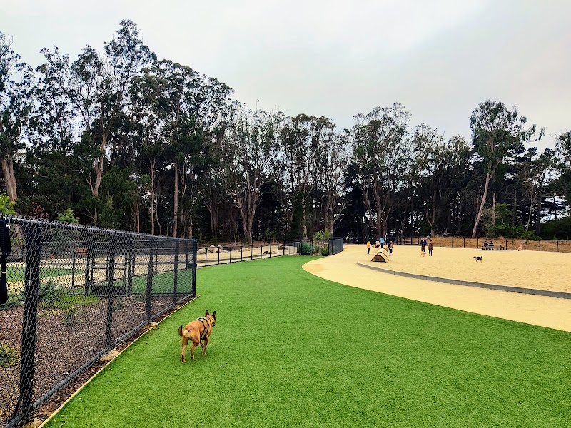 Golden Gate Park Dog Training Area - San Francisco, CA