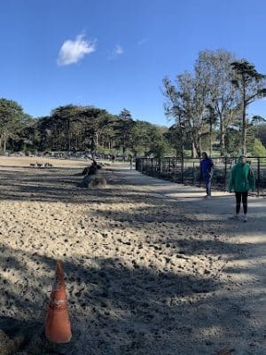 Golden Gate Park Dog Training Area