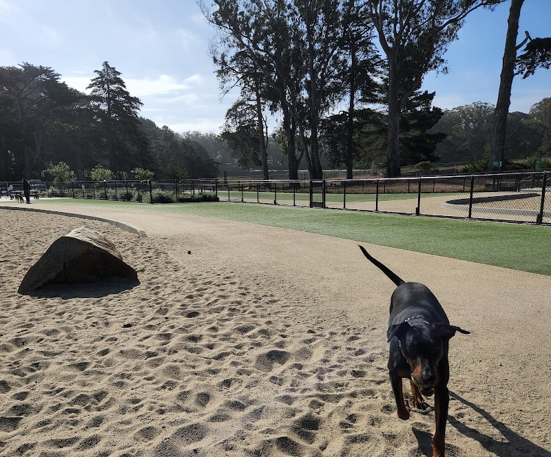 Golden Gate Park Dog Training Area - San Francisco, CA