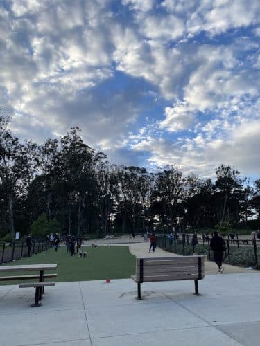 Golden Gate Park Dog Training Area