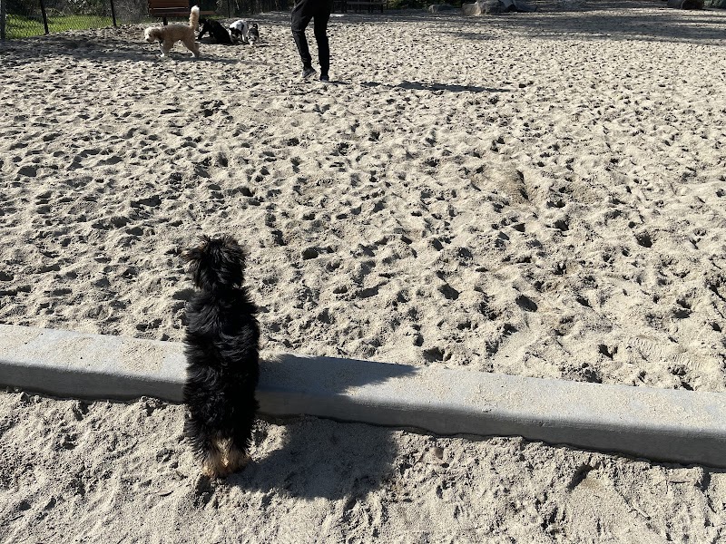 Golden Gate Park Dog Training Area - San Francisco, CA