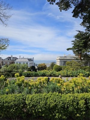 Lafayette Park Dog Play Area