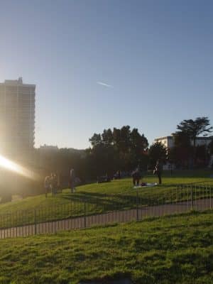 Lafayette Park Dog Play Area