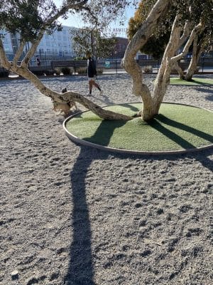 Mission Creek Dog Park