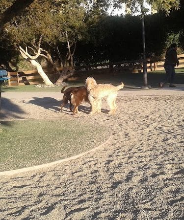 Mission Creek Dog Park