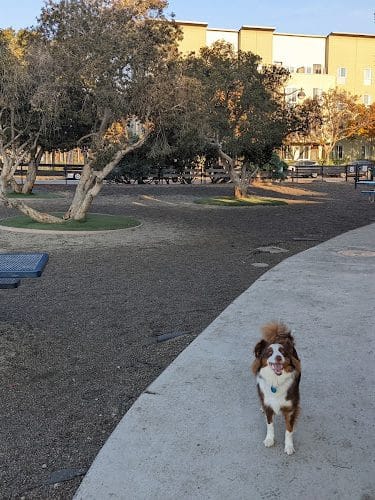 Mission Creek Dog Park