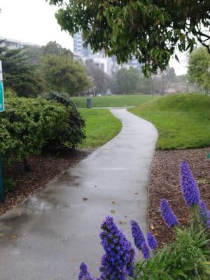 Mission Creek Dog Park