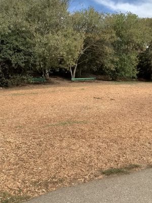 Mountain Lake Park Dog Play Area
