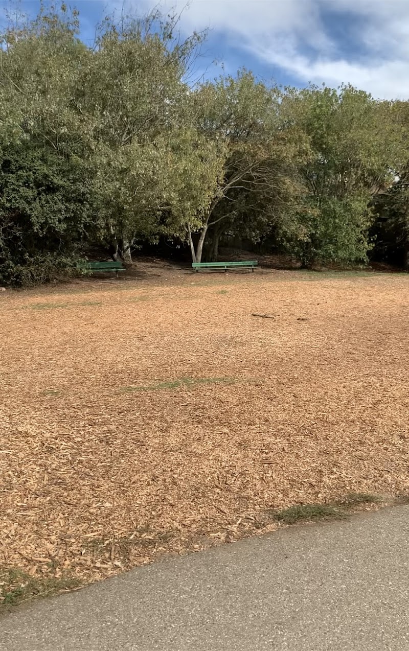 Mountain Lake Park Dog Play Area - San Francisco, CA