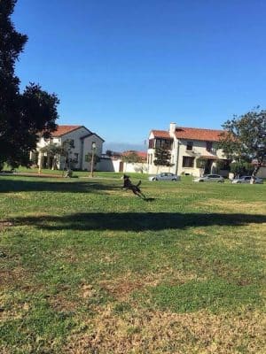 Patrick's Park