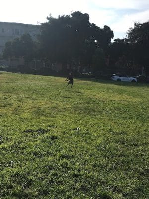 Patrick's Park