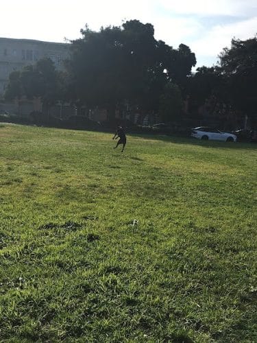 Patrick's Park
