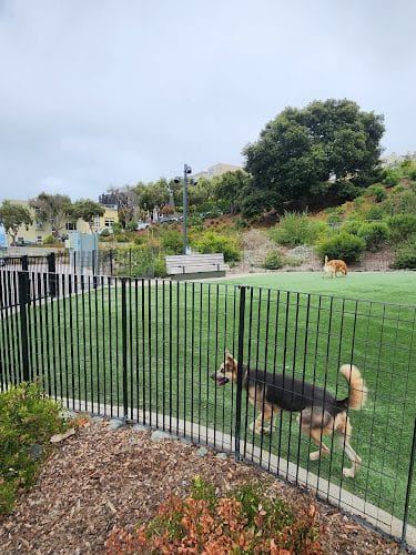 Pepi's Dog Play Area