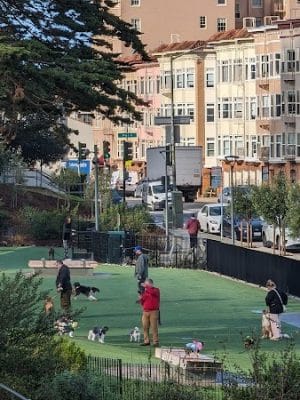 Pepi's Dog Play Area