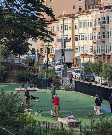 Pepi's Dog Play Area
