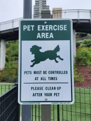 Pepi's Dog Play Area