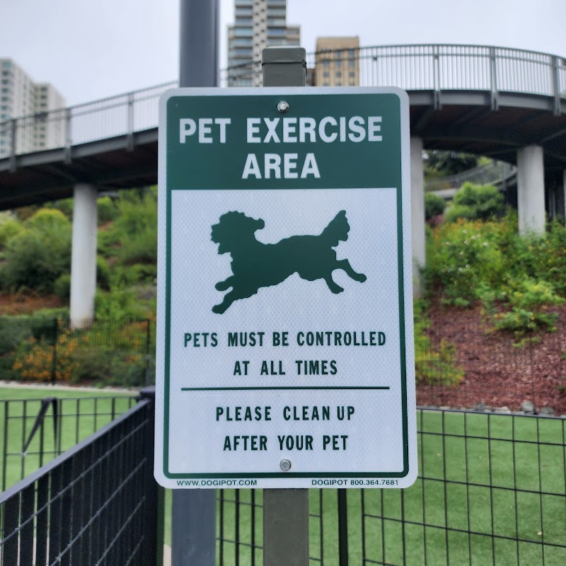 Pepi's Dog Play Area - San Francisco, CA