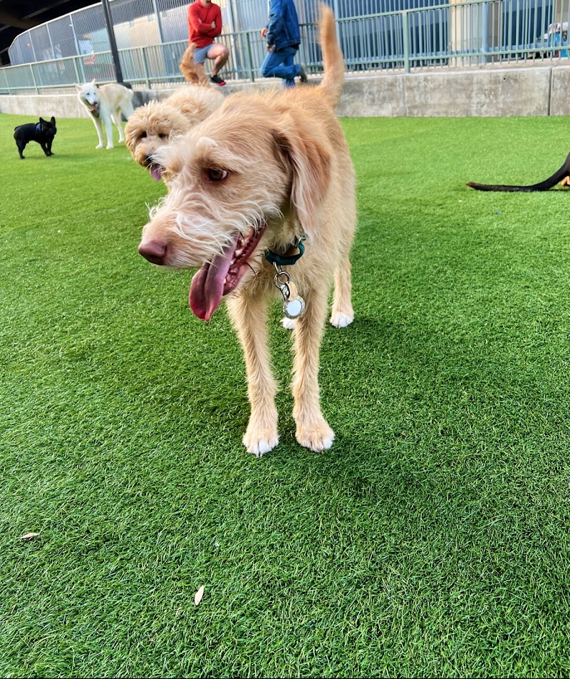 SoMa West Dog Park - San Francisco, CA