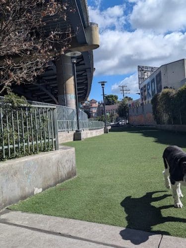 SoMa West Dog Park