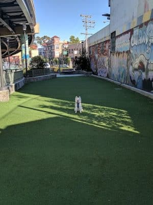 SoMa West Dog Park