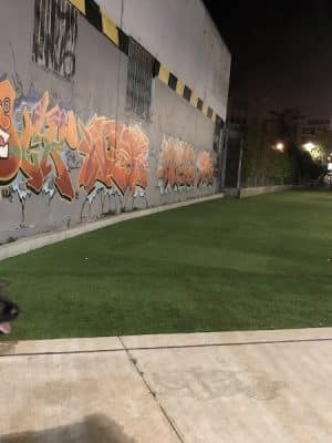 SoMa West Dog Park