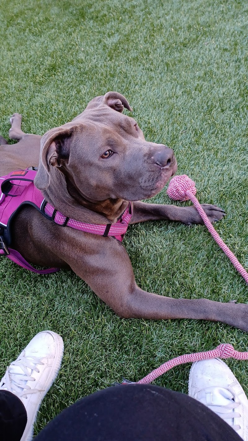 SoMa West Dog Park - San Francisco, CA