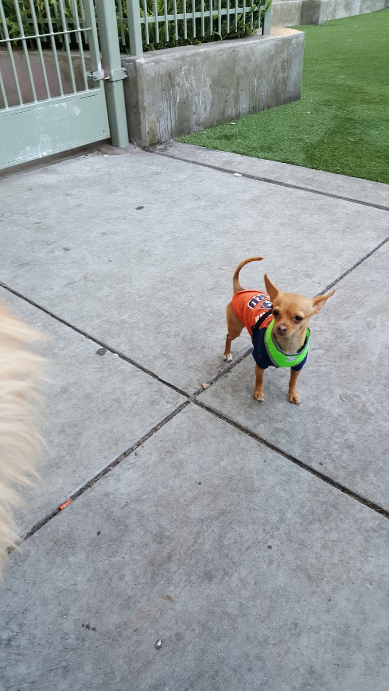 SoMa West Dog Park - San Francisco, CA