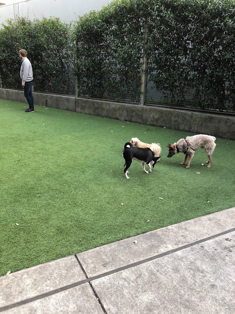 SoMa West Dog Park - San Francisco, CA