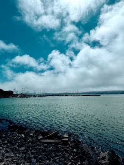Golden Gate Park - San Francisco, CA