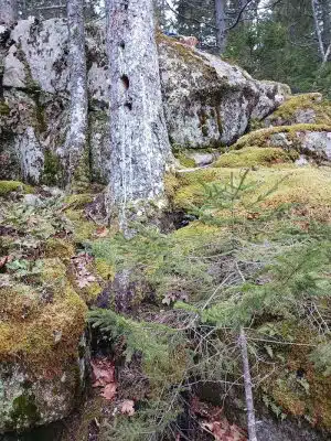 Lookout Rock Trailhead