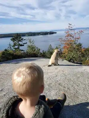 Lookout Rock Trailhead