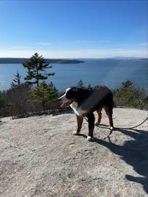 Lookout Rock Trailhead