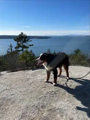 Lookout Rock Trailhead