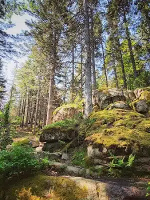 Lookout Rock Trailhead