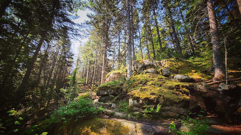 Lookout Rock Trailhead - Sargentville, ME
