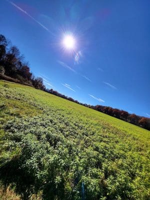 West End Regional Park