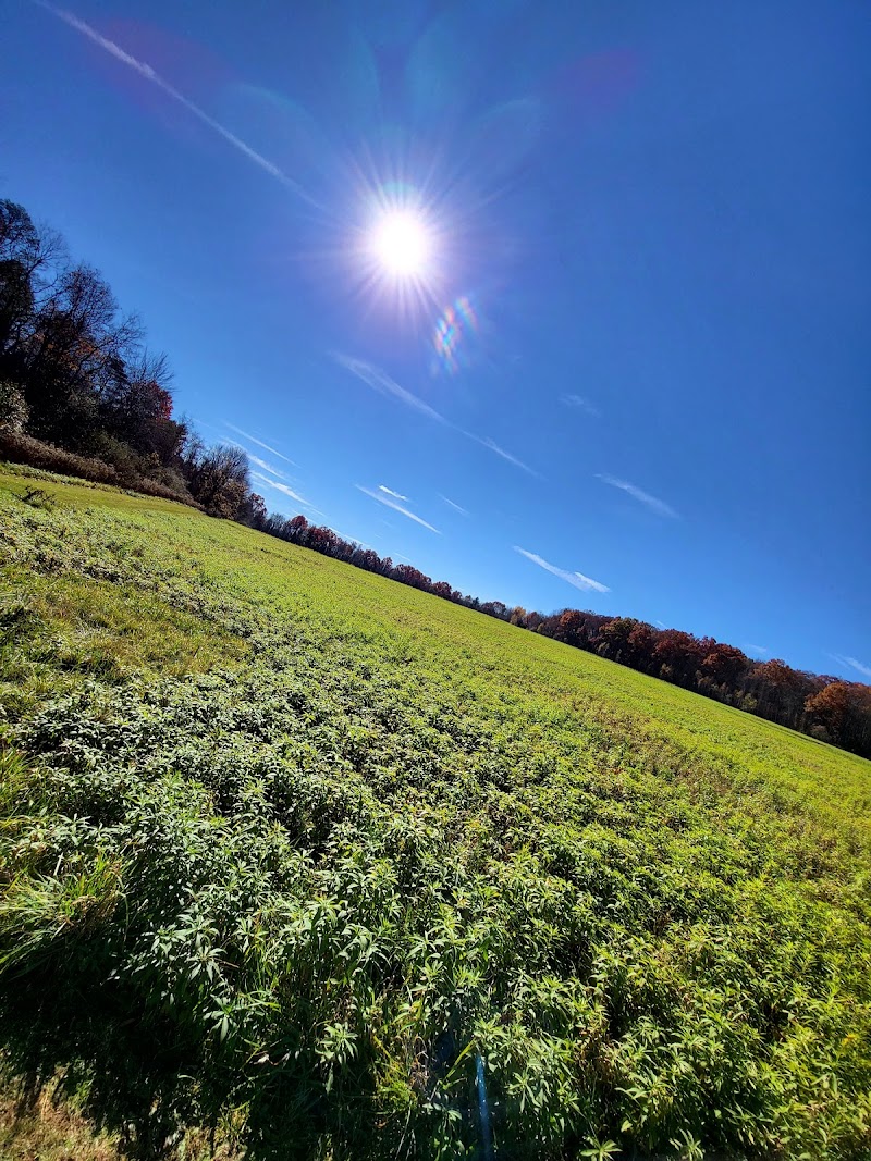 West End Regional Park - Saylorsburg, PA