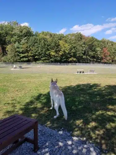 West End Regional Park - Saylorsburg, PA