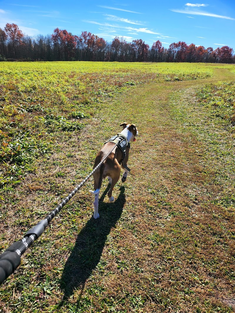 West End Regional Park - Saylorsburg, PA