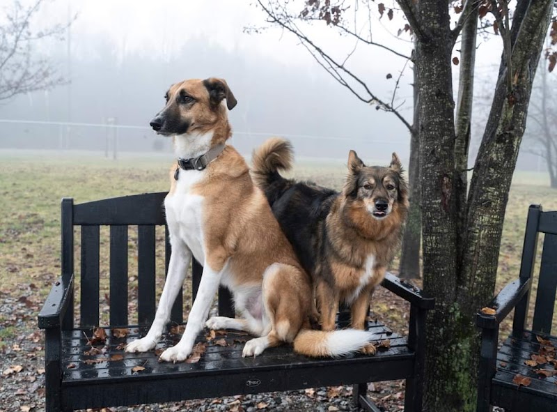 West End Regional Park - Saylorsburg, PA