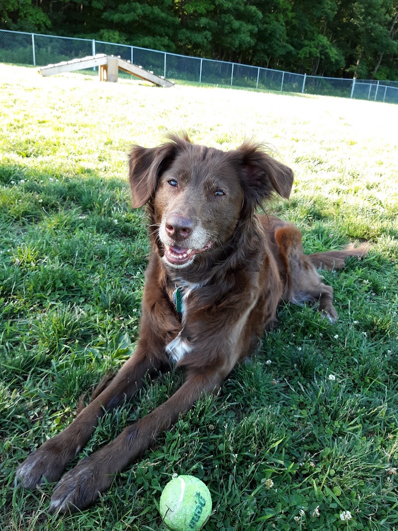 West End Regional Park - Saylorsburg, PA