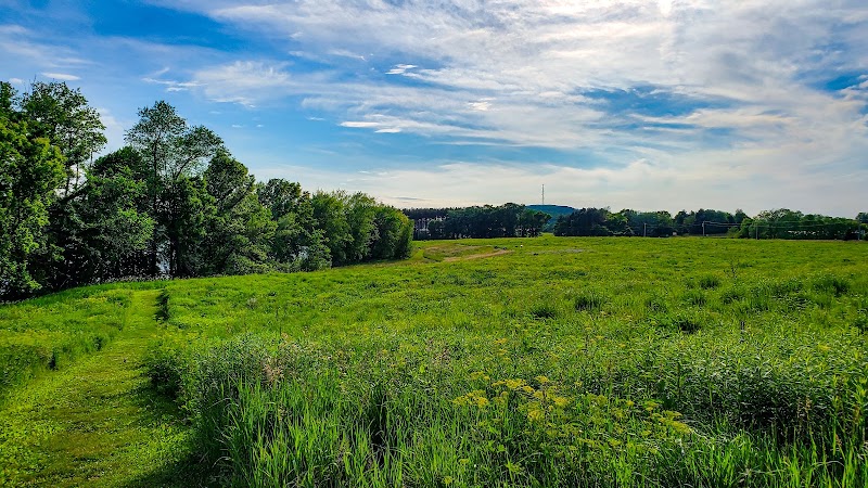 Jorgens Park Preserve - Scandinavia, WI