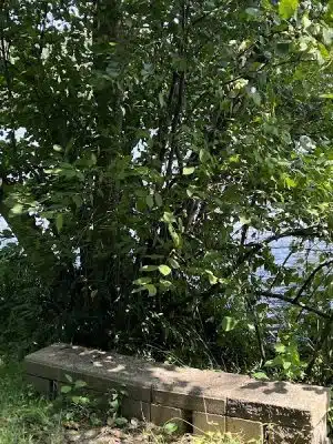 Shawnee State Park - Beach House - Schellsburg, PA